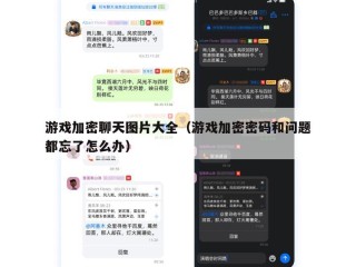 游戏加密聊天图片大全（游戏加密密码和问题都忘了怎么办）