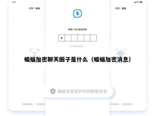 蝙蝠加密聊天圈子是什么（蝙蝠加密消息）