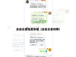 企业云盘加密存储（企业云盘权限）