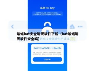 蝙蝠bat安全聊天软件下载（bat蝙蝠聊天软件安全吗）