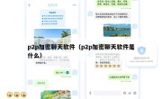 p2p加密聊天软件（p2p加密聊天软件是什么）