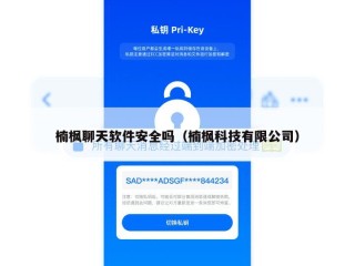 楠枫聊天软件安全吗（楠枫科技有限公司）