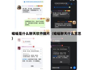 蝙蝠是什么聊天软件图片（蝙蝠聊天什么意思）