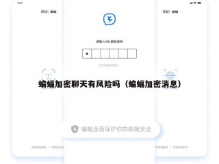 蝙蝠加密聊天有风险吗（蝙蝠加密消息）