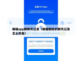 蝙蝠app删聊天记录（蝙蝠删除的聊天记录怎么恢复）