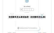 泡泡聊天怎么取消加密（泡泡聊天怎么用）