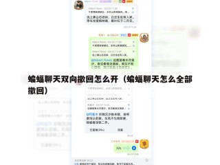 蝙蝠聊天双向撤回怎么开（蝙蝠聊天怎么全部撤回）