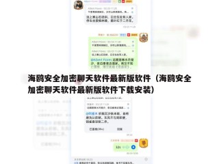 海鸥安全加密聊天软件最新版软件（海鸥安全加密聊天软件最新版软件下载安装）