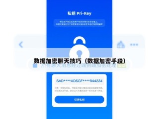 数据加密聊天技巧（数据加密手段）