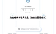 加密通讯本地大流量（加密流量是什么）