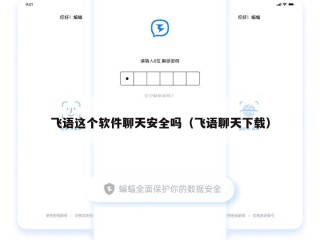 飞语这个软件聊天安全吗（飞语聊天下载）