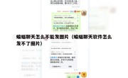 蝙蝠聊天怎么不能发图片（蝙蝠聊天软件怎么发不了图片）