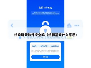 相欢聊天软件安全吗（相聊甚欢什么意思）