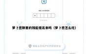 萝卜密聊里的钱能提出来吗（萝卜密怎么吃）