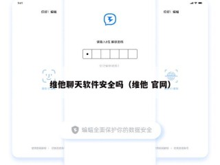 维他聊天软件安全吗（维他 官网）