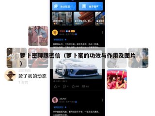 萝卜密聊跟密信（萝卜蜜的功效与作用及图片）