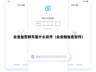 企业加密聊天是什么软件（企业版加密软件）