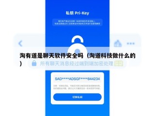 淘有道是聊天软件安全吗（淘道科技做什么的）