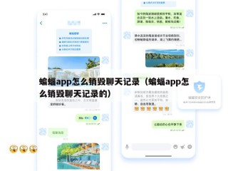 蝙蝠app怎么销毁聊天记录（蝙蝠app怎么销毁聊天记录的）