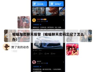 蝙蝠加密聊天报警（蝙蝠聊天密码忘记了怎么办）