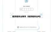 端到端安全聊天（端到端安全吗）