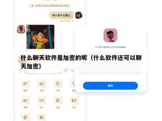 什么聊天软件是加密的呢（什么软件还可以聊天加密）