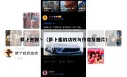 萝卜密聊丶（萝卜蜜的功效与作用及图片）