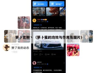 萝卜密聊丶（萝卜蜜的功效与作用及图片）
