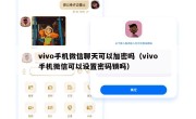 vivo手机微信聊天可以加密吗（vivo手机微信可以设置密码锁吗）