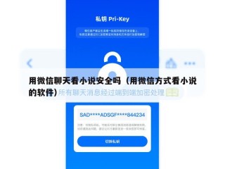 用微信聊天看小说安全吗（用微信方式看小说的软件）