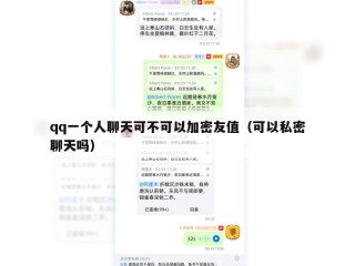 qq一个人聊天可不可以加密友值（可以私密聊天吗）