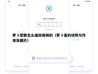 萝卜密聊怎么播放视频的（萝卜蜜的功效与作用及图片）