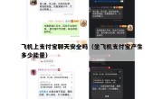 飞机上支付宝聊天安全吗（坐飞机支付宝产生多少能量）