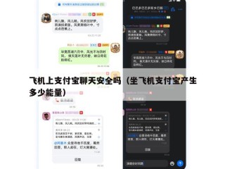 飞机上支付宝聊天安全吗（坐飞机支付宝产生多少能量）