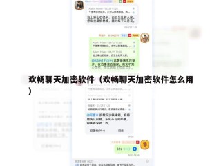 欢畅聊天加密软件（欢畅聊天加密软件怎么用）