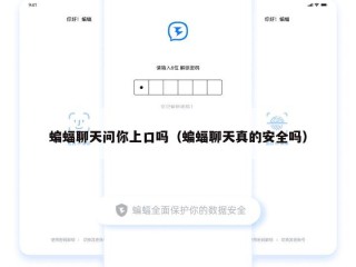 蝙蝠聊天问你上口吗（蝙蝠聊天真的安全吗）