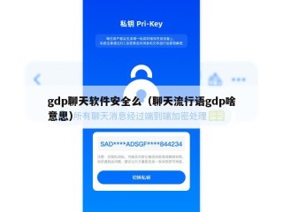 gdp聊天软件安全么（聊天流行语gdp啥意思）