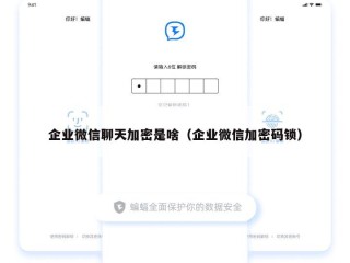 企业微信聊天加密是啥（企业微信加密码锁）