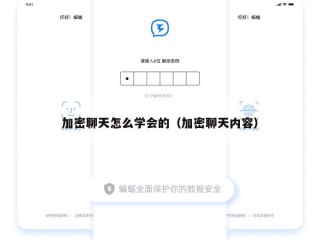 加密聊天怎么学会的（加密聊天内容）