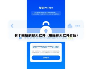 有个蝙蝠的聊天软件（蝙蝠聊天软件介绍）