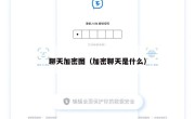 聊天加密图（加密聊天是什么）