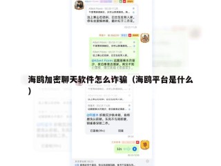 海鸥加密聊天软件怎么诈骗（海鸥平台是什么）