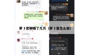 萝卜密聊赚了几万（萝卜蜜怎么做）