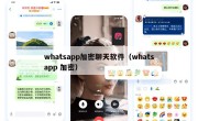 whatsapp加密聊天软件（whatsapp 加密）
