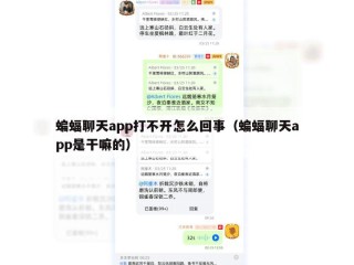 蝙蝠聊天app打不开怎么回事（蝙蝠聊天app是干嘛的）