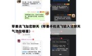 苹果讯飞加密聊天（苹果手机讯飞输入法聊天气泡在哪里）