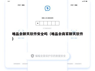 唯品会聊天软件安全吗（唯品会商家聊天软件）