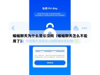 蝙蝠聊天为什么显示没网（蝙蝠聊天怎么不能用了）