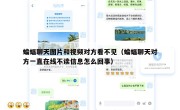 蝙蝠聊天图片和视频对方看不见（蝙蝠聊天对方一直在线不读信息怎么回事）