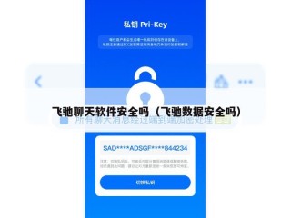 飞驰聊天软件安全吗（飞驰数据安全吗）